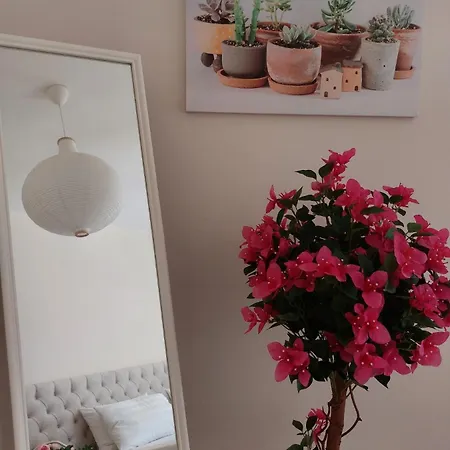 Casa Romantica *
